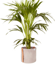 Load image into Gallery viewer, Waxed Canvas Floor Planter