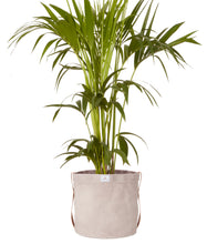 Load image into Gallery viewer, Waxed Canvas Floor Planter