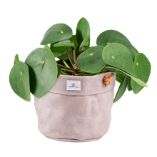 Load image into Gallery viewer, Waxed Canvas Hanging Planter