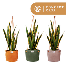 Load image into Gallery viewer, Waxed Canvas Hanging Planter