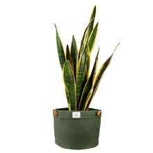 Load image into Gallery viewer, Waxed Canvas Hanging Planter