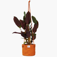 Load image into Gallery viewer, Waxed Canvas Hanging Planter
