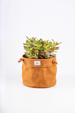 Load image into Gallery viewer, Waxed Canvas Hanging Planter
